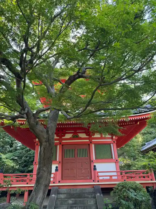 正覚院の{uncategorized: "未分類", other: "その他", undefined: "問題あり", building: "その他建物", grave: "お墓", sacred_gate: "鳥居", guardian: "狛犬", statue: "像", buddha: "仏像", history: "歴史", nature: "自然", garden: "庭園", animal: "動物", pagoda: "塔", temizu: "手水舎", mountain_gate: "山門・神門", sanctuary: "本殿・本堂", subordinate: "末社・摂社", art: "芸術", scenery: "景色", jizo: "地蔵", ema: "絵馬", goshuin: "御朱印", omikuji: "おみくじ", items: "授与品その他", amulet: "お守り", goshuincho: "御朱印帳", eats: "食事", festival: "お祭り", votive_dance: "神楽", shichigosan: "七五三参", wedding: "結婚式", experience: "体験その他", initially: "初詣", around: "周辺", anti_infection: "感染症対策"}