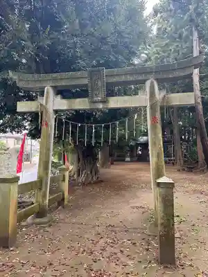 大蛇摩賀多神社(千葉県)