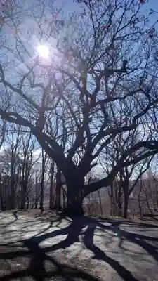 相馬神社(北海道)