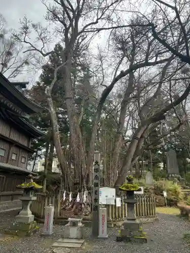 小室浅間神社の自然