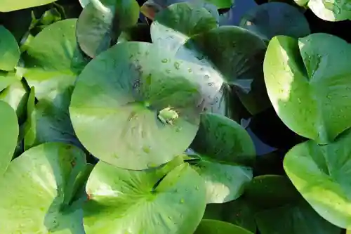 浄土寺(兵庫県)