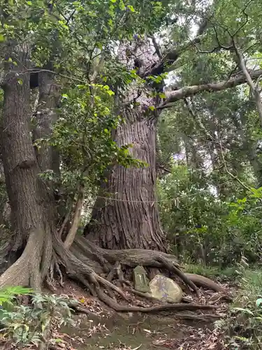 外川神社(千葉県)
