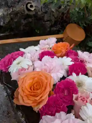 本郷氷川神社(東京都)