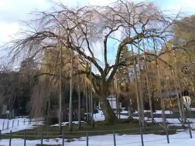 足羽神社(福井県)