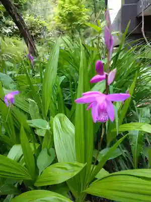 国宝 長寿寺(滋賀県)