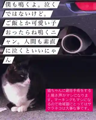 専念寺(大阪府)