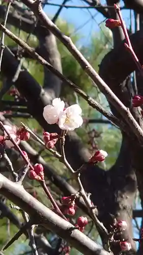 相馬神社の自然