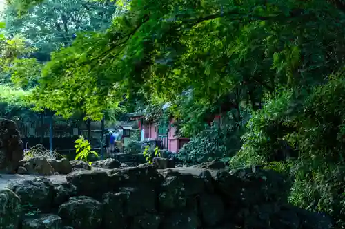 富士山本宮浅間大社(静岡県)