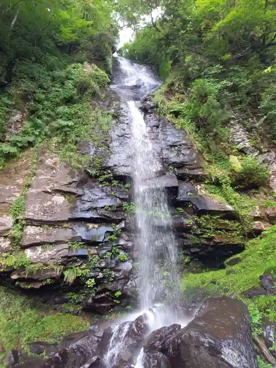 瀞川稲荷の自然