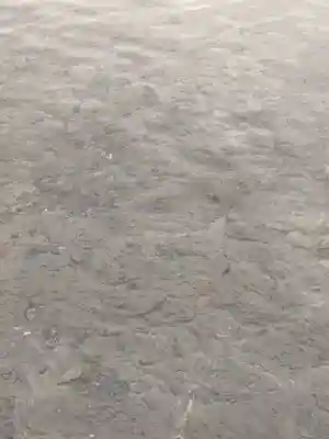 浮木神社(秋田県)