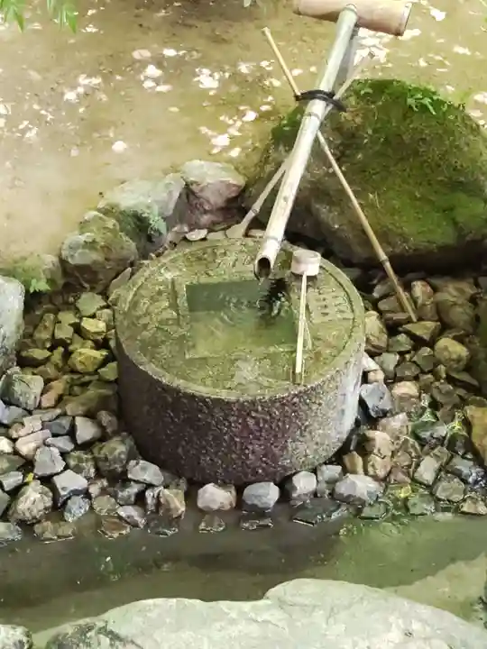 龍安寺の手水舎