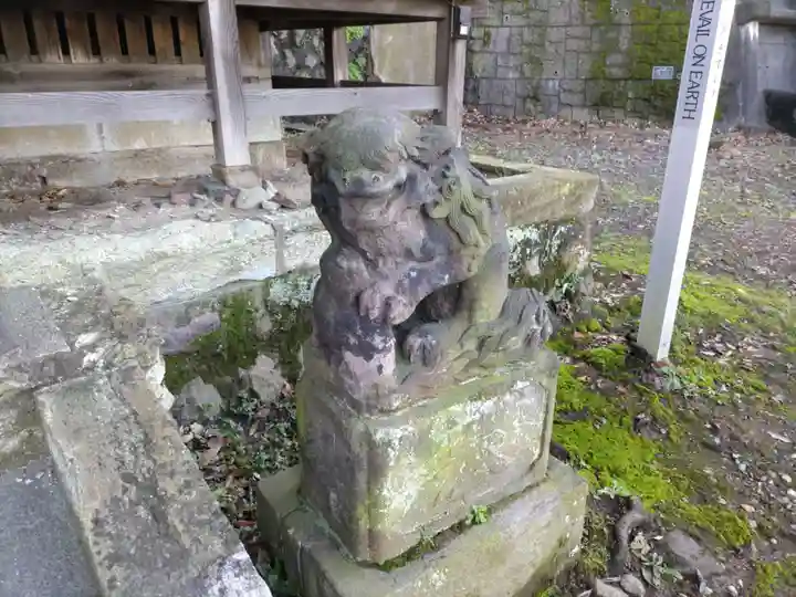 杉山社(帷子町杉山社・久保杉山神社)の狛犬