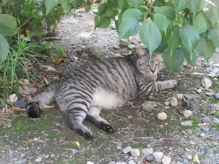 回向院(東京都)