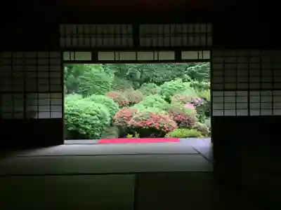 安楽寺の本殿・本堂