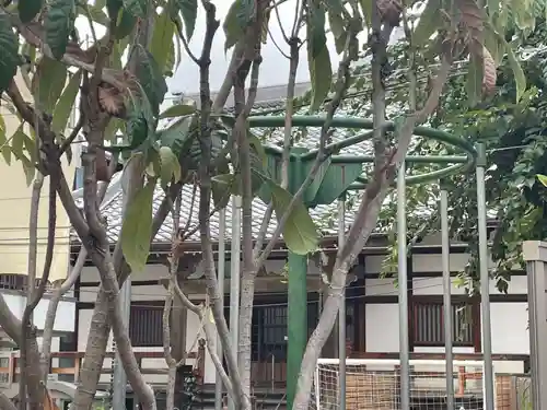 宝地院(兵庫県)