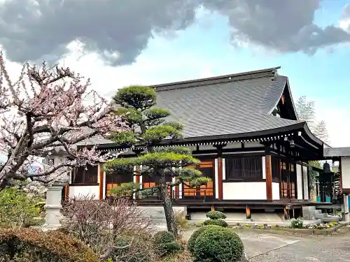 長谷寺の本殿・本堂