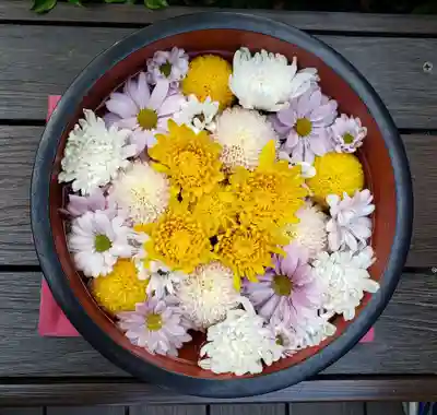 増上寺塔頭 三縁山 宝珠院(東京都)