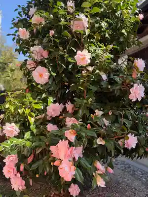 崇道天皇社(奈良県)