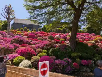 根津神社(東京都)