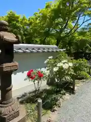 宝徳寺の自然