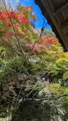 勝持寺（花の寺）(京都府)