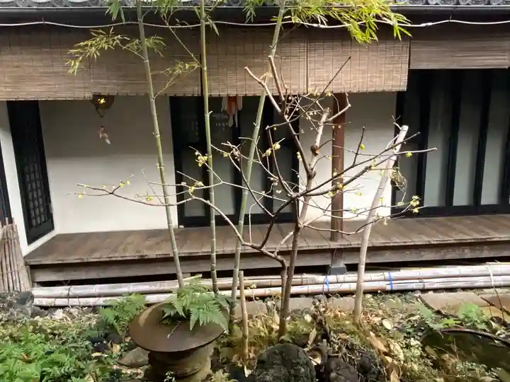 遠照山 光明寺(尼崎大仏)(兵庫県)