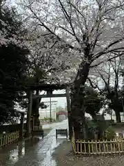 畑子安神社の鳥居