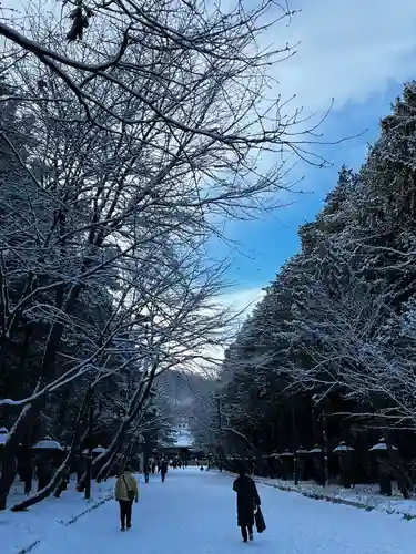 北海道神宮の景色