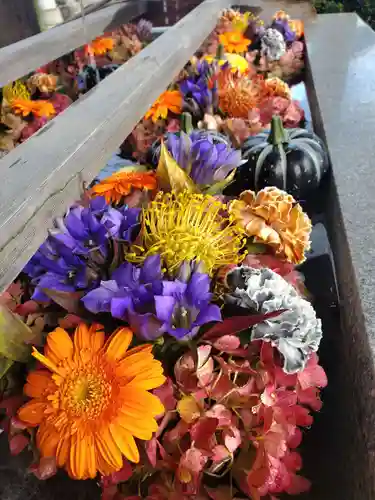 豊景神社の手水舎