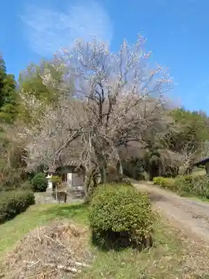 竹崎神社跡(熊本県)