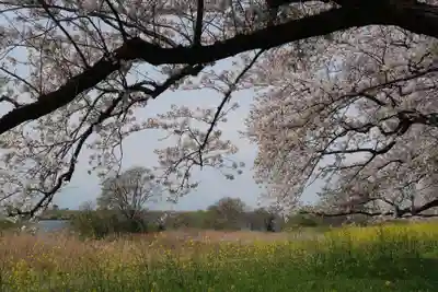 白鬚神社(岐阜県)