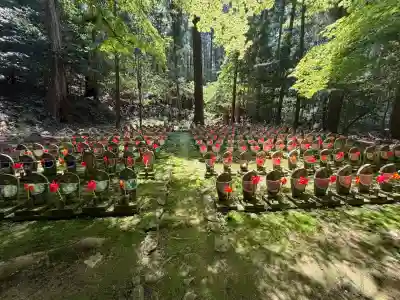 金剛輪寺の{uncategorized: "未分類", other: "その他", undefined: "問題あり", building: "その他建物", grave: "お墓", sacred_gate: "鳥居", guardian: "狛犬", statue: "像", buddha: "仏像", history: "歴史", nature: "自然", garden: "庭園", animal: "動物", pagoda: "塔", temizu: "手水舎", mountain_gate: "山門・神門", sanctuary: "本殿・本堂", subordinate: "末社・摂社", art: "芸術", scenery: "景色", jizo: "地蔵", ema: "絵馬", goshuin: "御朱印", omikuji: "おみくじ", items: "授与品その他", amulet: "お守り", goshuincho: "御朱印帳", eats: "食事", festival: "お祭り", votive_dance: "神楽", shichigosan: "七五三参", wedding: "結婚式", experience: "体験その他", initially: "初詣", around: "周辺", anti_infection: "感染症対策"}