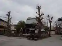 白髭神社の本殿・本堂