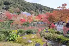 禅林寺（永観堂）(京都府)