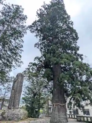 飛驒一宮水無神社(岐阜県)