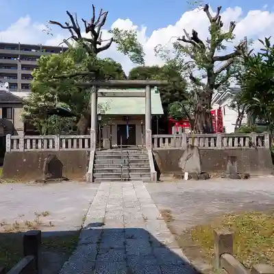 吾嬬神社の鳥居