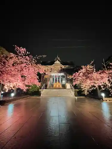 桜神宮(東京都)