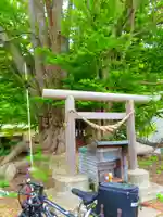黄金龍神社(桂不動)(北海道)