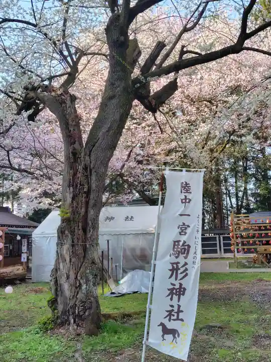 駒形神社の{uncategorized: "未分類", other: "その他", undefined: "問題あり", building: "その他建物", grave: "お墓", sacred_gate: "鳥居", guardian: "狛犬", statue: "像", buddha: "仏像", history: "歴史", nature: "自然", garden: "庭園", animal: "動物", pagoda: "塔", temizu: "手水舎", mountain_gate: "山門・神門", sanctuary: "本殿・本堂", subordinate: "末社・摂社", art: "芸術", scenery: "景色", jizo: "地蔵", ema: "絵馬", goshuin: "御朱印", omikuji: "おみくじ", items: "授与品その他", amulet: "お守り", goshuincho: "御朱印帳", eats: "食事", festival: "お祭り", votive_dance: "神楽", shichigosan: "七五三参", wedding: "結婚式", experience: "体験その他", initially: "初詣", around: "周辺", anti_infection: "感染症対策"}