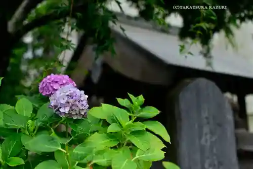 伊勢神社(茨城県)