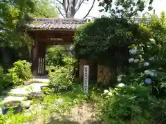 般若寺 ❁﻿コスモス寺❁(奈良県)