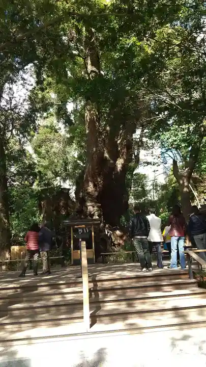 來宮神社の自然