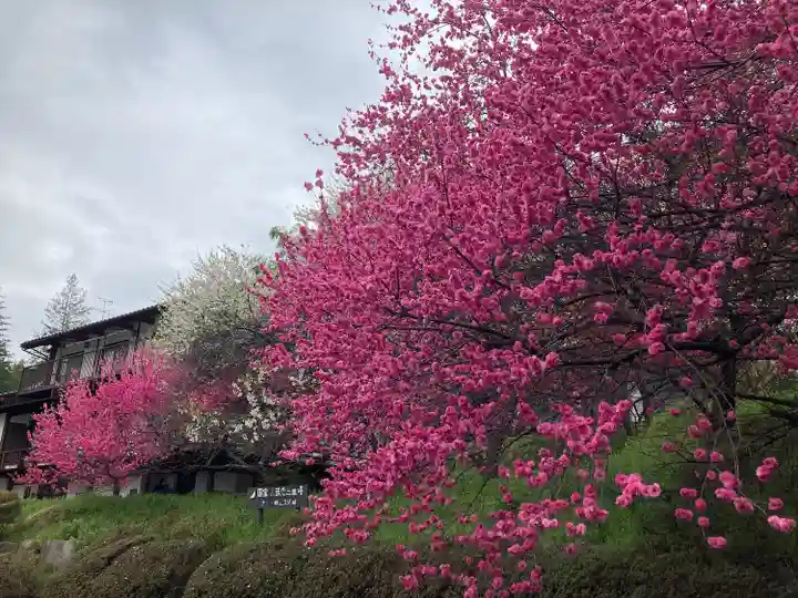 国宝 大法寺(長野県)