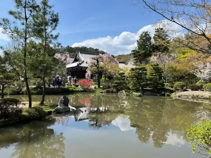 法金剛院(京都府)