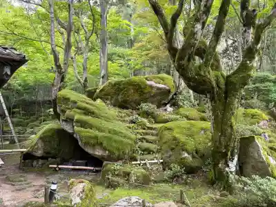 教林坊の{uncategorized: "未分類", other: "その他", undefined: "問題あり", building: "その他建物", grave: "お墓", sacred_gate: "鳥居", guardian: "狛犬", statue: "像", buddha: "仏像", history: "歴史", nature: "自然", garden: "庭園", animal: "動物", pagoda: "塔", temizu: "手水舎", mountain_gate: "山門・神門", sanctuary: "本殿・本堂", subordinate: "末社・摂社", art: "芸術", scenery: "景色", jizo: "地蔵", ema: "絵馬", goshuin: "御朱印", omikuji: "おみくじ", items: "授与品その他", amulet: "お守り", goshuincho: "御朱印帳", eats: "食事", festival: "お祭り", votive_dance: "神楽", shichigosan: "七五三参", wedding: "結婚式", experience: "体験その他", initially: "初詣", around: "周辺", anti_infection: "感染症対策"}