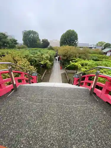 亀戸天神社(東京都)