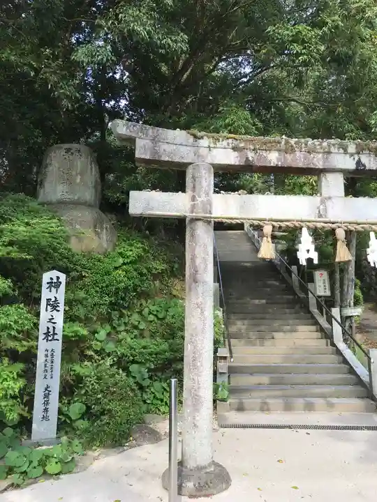 玉作湯神社の鳥居