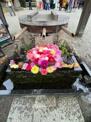 深大寺(東京都)