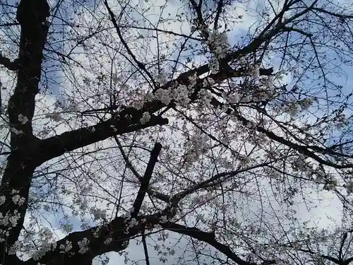 名古屋東照宮の自然