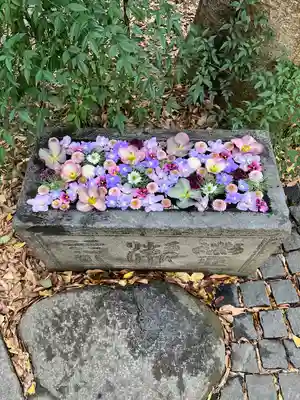 行田八幡神社(埼玉県)
